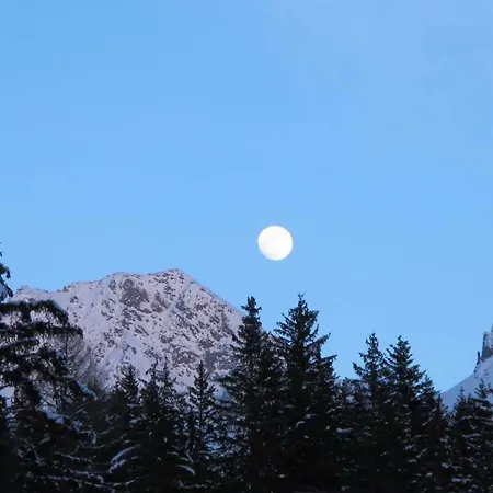 Waldesruh 3 Zimmerwohnung * 阿罗萨